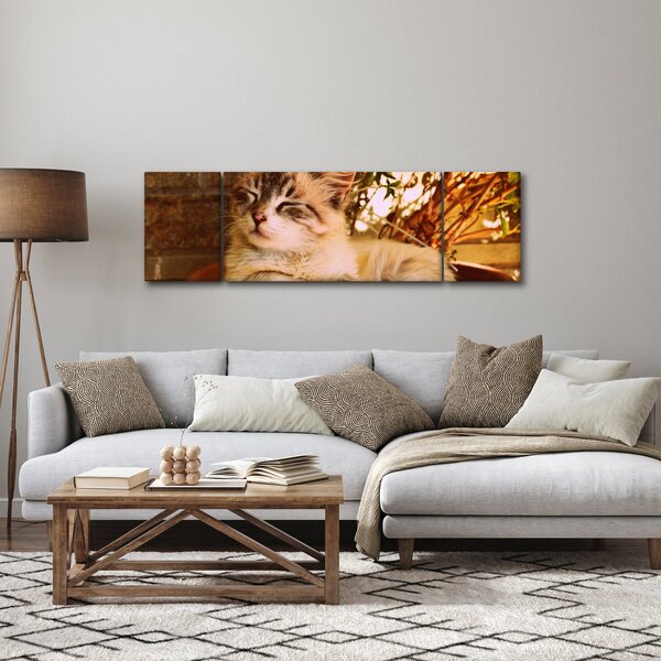 Obraz kočky v květináči (170x50 cm)