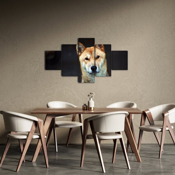Obraz psa (125x70 cm)