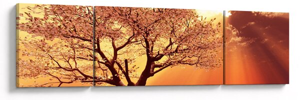 Obraz paprsků Boha (170x50 cm)