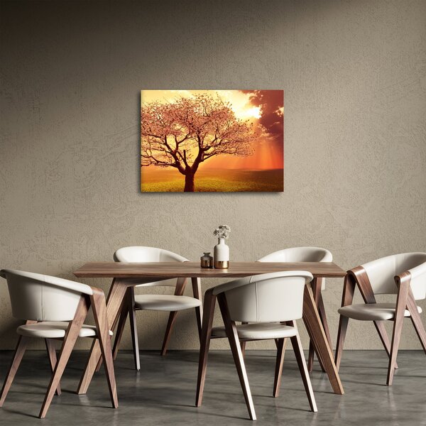 Obraz paprsků Boha (70x50 cm)