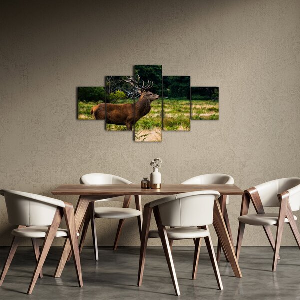 Obraz jelena (125x70 cm)