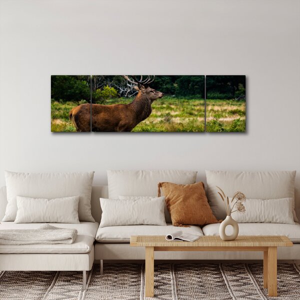 Obraz jelena (170x50 cm)