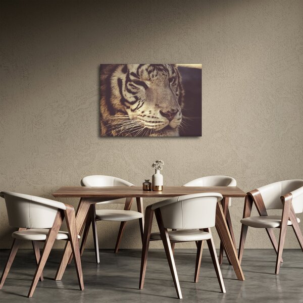 Obraz tygra (70x50 cm)