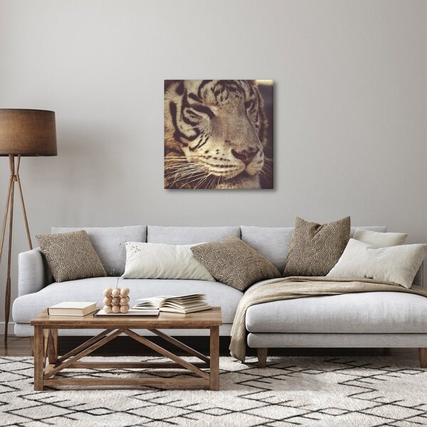 Obraz tygra (30x30 cm)