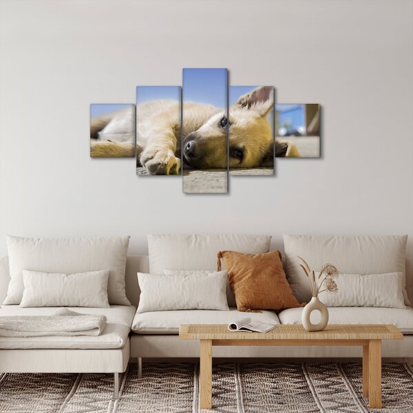 Obraz ležícího štěněte (125x70 cm)