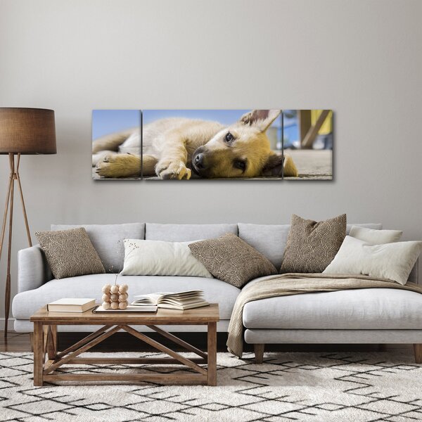 Obraz ležícího štěněte (170x50 cm)