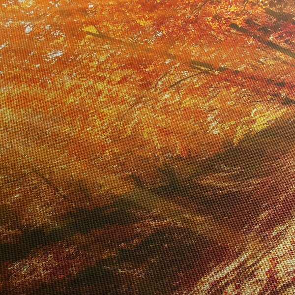 Obraz podzimního lesa (125x70 cm)