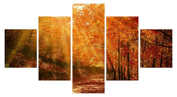 Obraz podzimního lesa (125x70 cm)