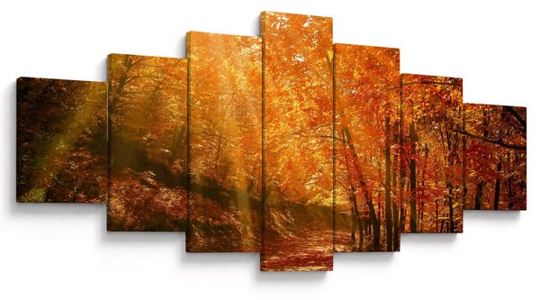 Obraz podzimního lesa (210x100 cm)