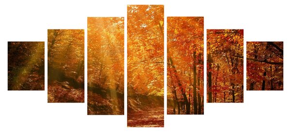 Obraz podzimního lesa (210x100 cm)