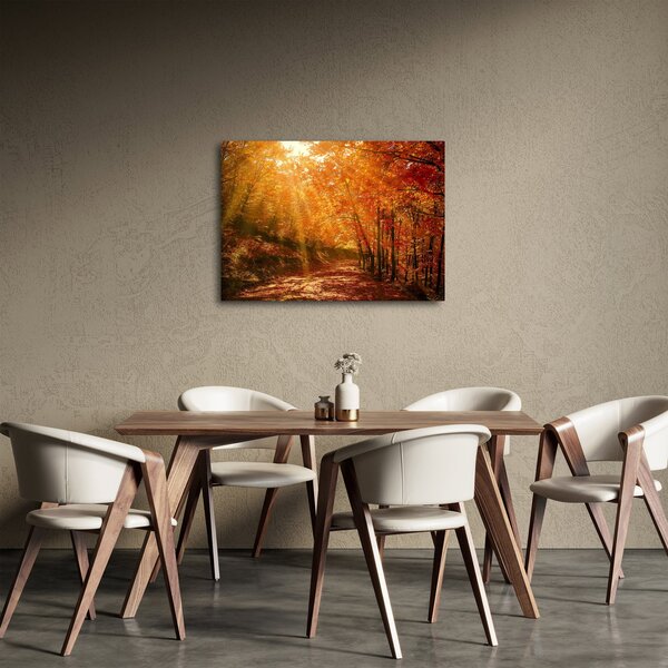 Obraz podzimního lesa (70x50 cm)
