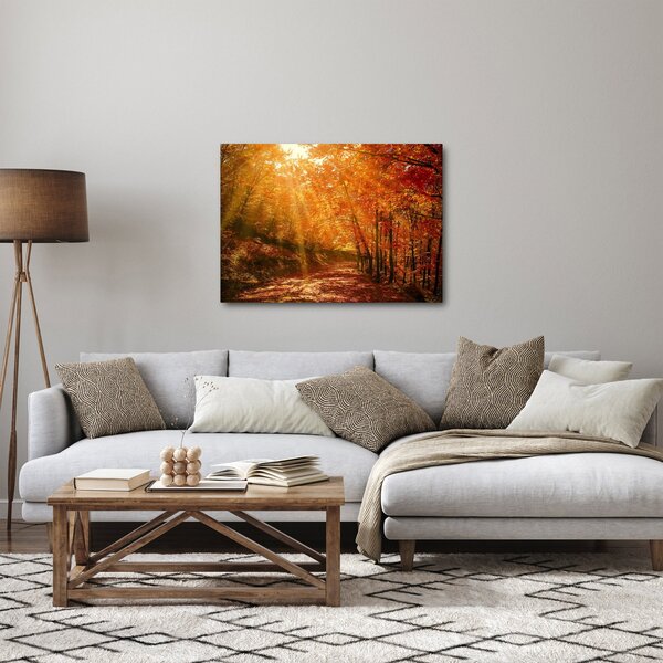 Obraz podzimního lesa (70x50 cm)