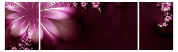 Obraz abstrakce - květiny (170x50 cm)