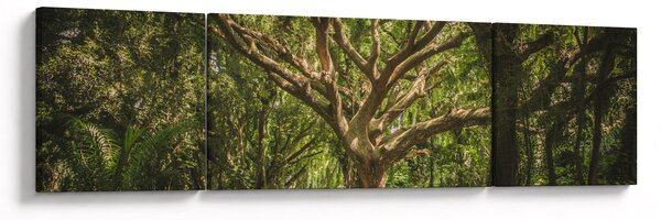 Obraz stromu (170x50 cm)