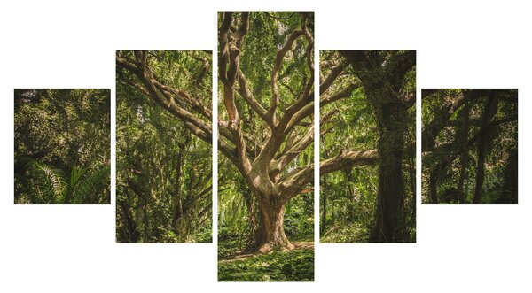 Obraz stromu (125x70 cm)
