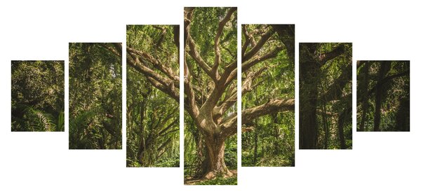 Obraz stromu (210x100 cm)