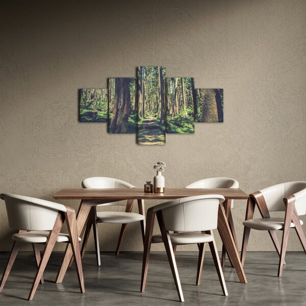 Obraz cesty mezi stromy (125x70 cm)