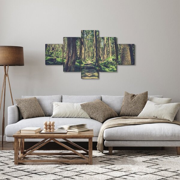 Obraz cesty mezi stromy (125x70 cm)