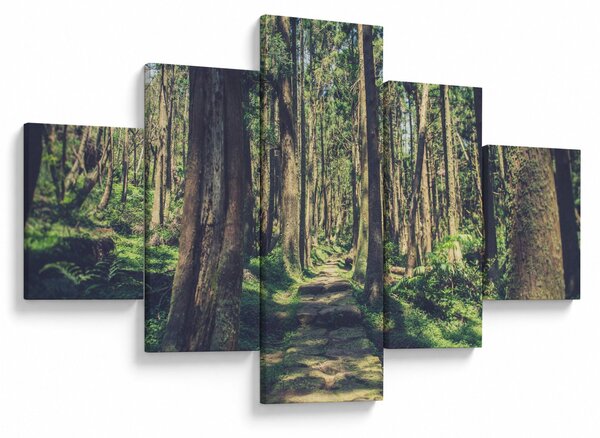 Obraz cesty mezi stromy (125x70 cm)