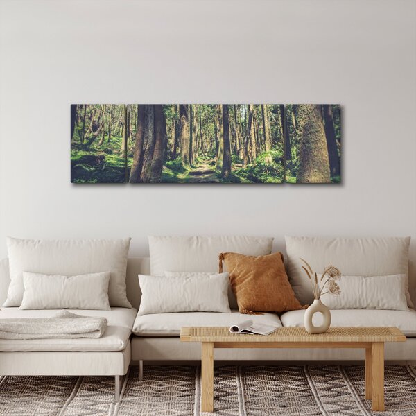Obraz cesty mezi stromy (170x50 cm)