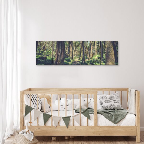 Obraz cesty mezi stromy (170x50 cm)