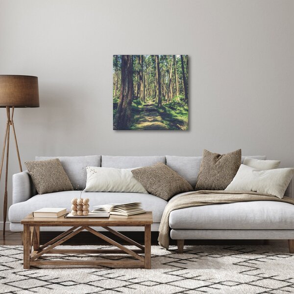 Obraz cesty mezi stromy (30x30 cm)