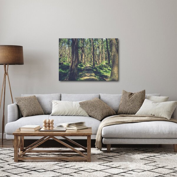 Obraz cesty mezi stromy (70x50 cm)