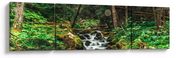 Obraz potoku v lese (170x50 cm)