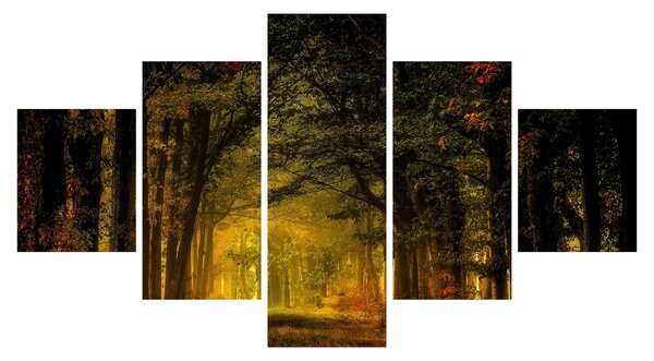 Obraz lesu (125x70 cm)