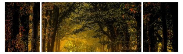 Obraz lesu (170x50 cm)