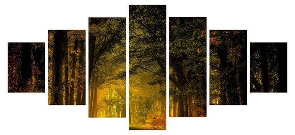 Obraz lesu (210x100 cm)