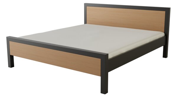 Nábytek ATIKA s.r.o. Kovová postel GENIUS Povrchová úprava: stříbrná RAL 9006, Rozměr: 160 x 200 cm