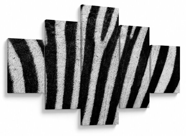 Obraz kůže zebry (125x70 cm)