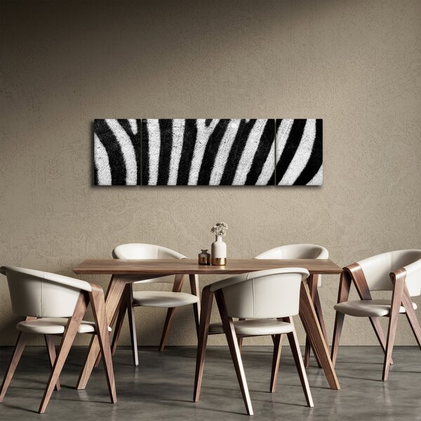 Obraz kůže zebry (170x50 cm)