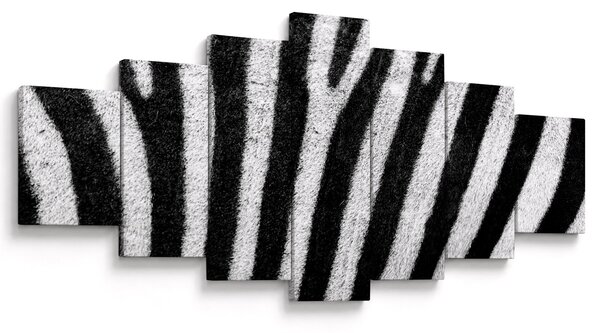Obraz kůže zebry (210x100 cm)