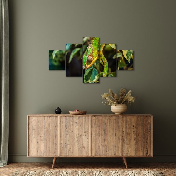Obraz chameleona (125x70 cm)