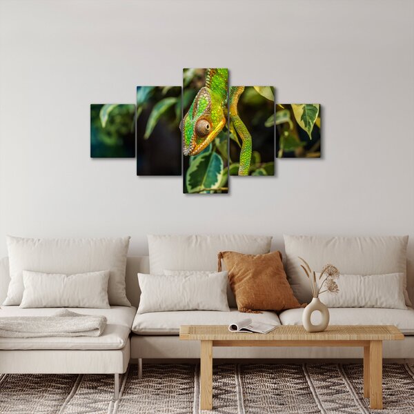 Obraz chameleona (125x70 cm)