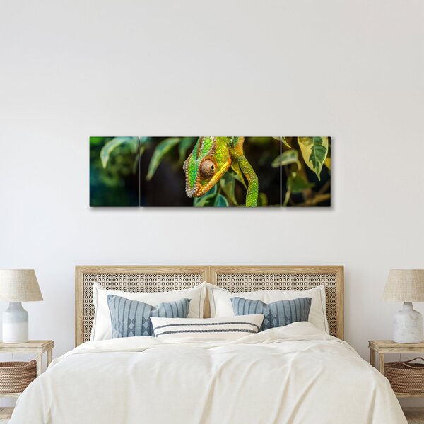 Obraz chameleona (170x50 cm)