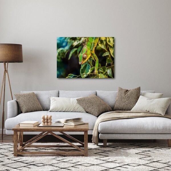 Obraz chameleona (70x50 cm)