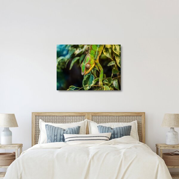 Obraz chameleona (70x50 cm)