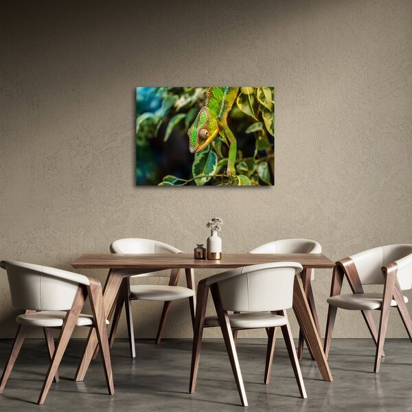 Obraz chameleona (70x50 cm)