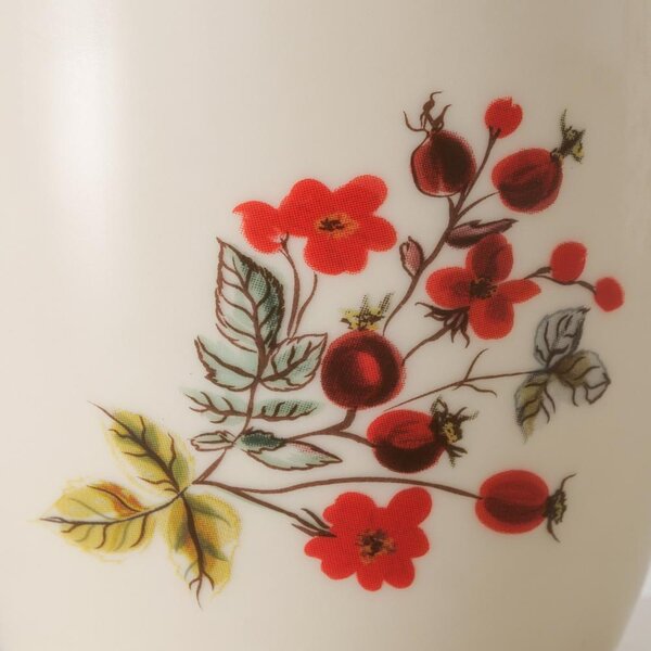 Boltze Home Collections Hrníček Rosehip