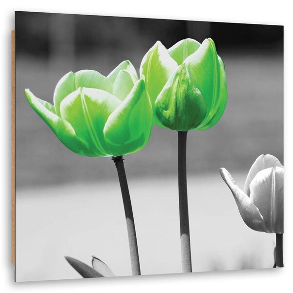 Gario Obraz Zelené tulipány v šedé barvě Velikost: 30 x 30 cm, Provedení: Panelový obraz