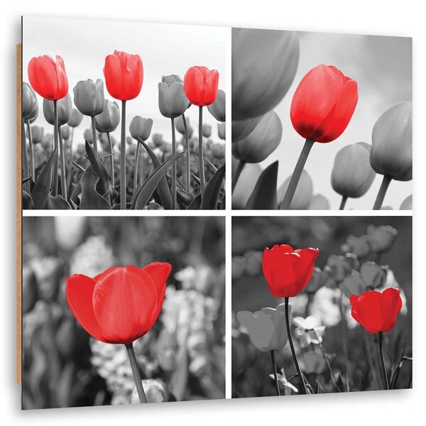 Obraz Sada červených tulipánů v šedé barvě Velikost: 40 x 40 cm, Provedení: Panelový obraz