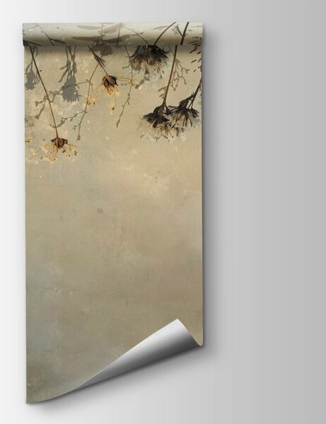 Fototapeta Sušené květy na větvi, Přírodní fototapety, Populární fototapety, w02877 - Tapeko.co.cz