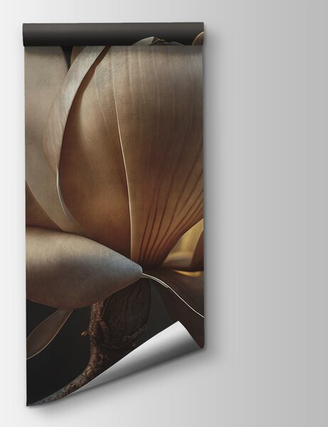 Fototapeta Půvabná magnólie v měkkém světle, 3D květinové fototapety, Populární fototapety, u94507 - Tapeko.co.cz