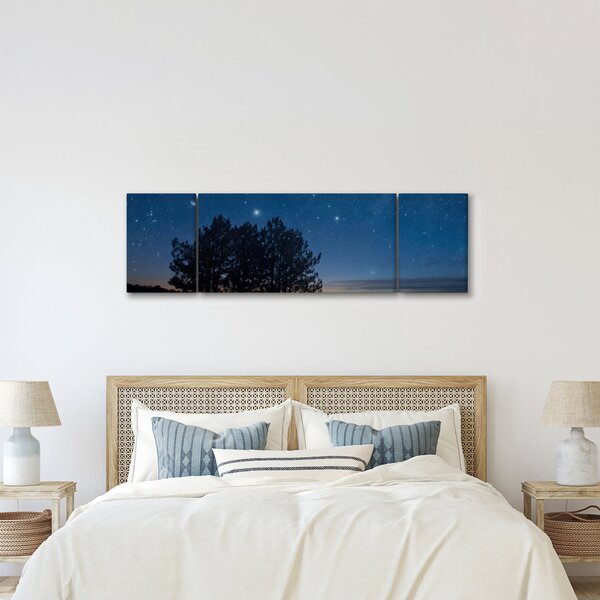 Obraz stromů v noci (170x50 cm)
