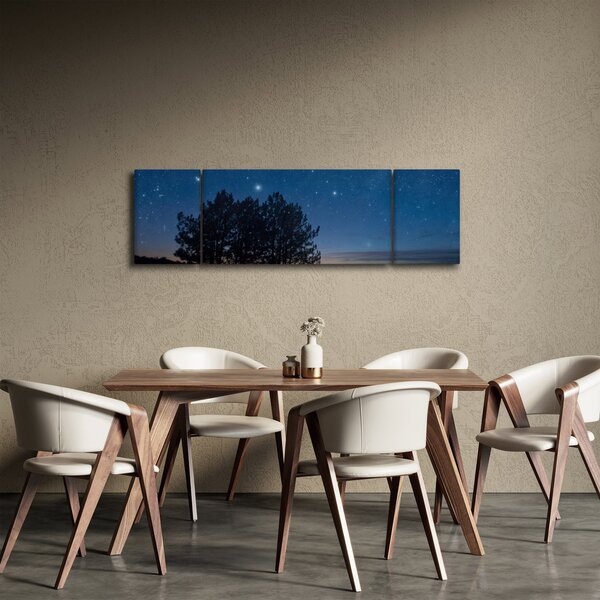 Obraz stromů v noci (170x50 cm)