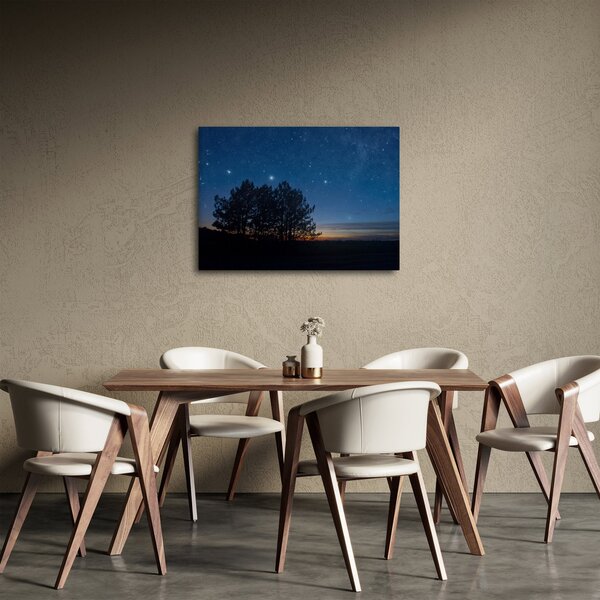 Obraz stromů v noci (70x50 cm)