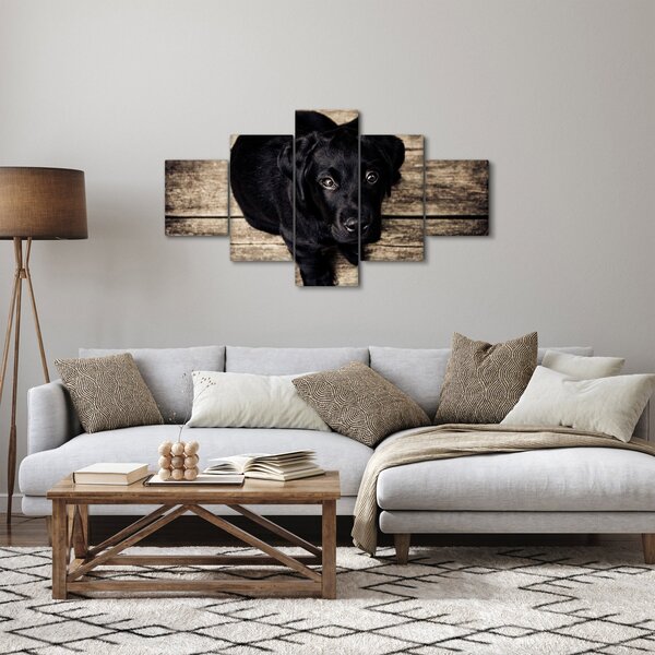 Obraz černého štěněte (125x70 cm)